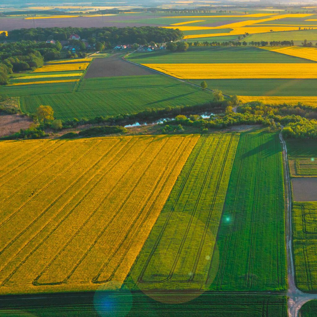 View from a height of green fields and trees, summer nature