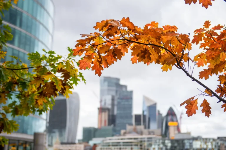 Autumn