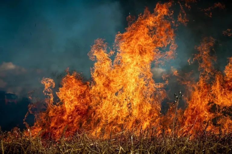 Fire 6706673 1280.jpg